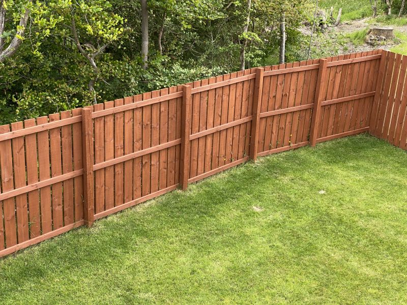 Painting of a backyard fence